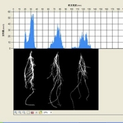 PMT-RootAnalysis植物表型分析软件（根系版）